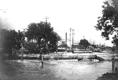 Grade Raising, Photograph labeled Ave J Near 22nd St. 