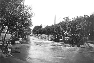 Grade Raising, Photograph labeled Ave. J East from 23rd St. 