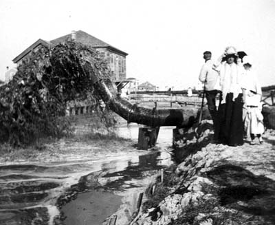 Grade Raising, Photograph of group of people watching discharge of fill 