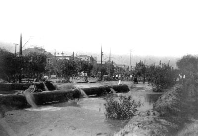 Photograph labeled Ave. J near 23rd St. 
