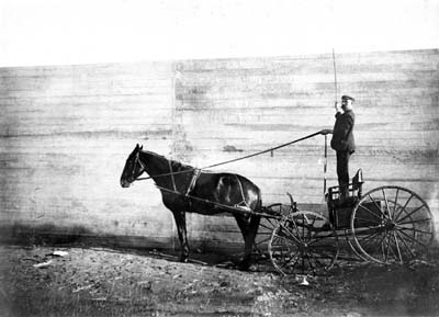 Seawall, Photograph of man standing on buggy and holding reins to horse behind Seawall 