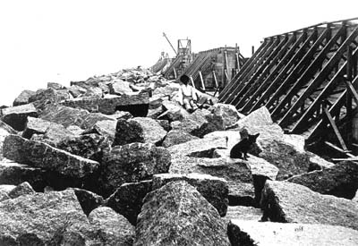 Photograph of worker and dog seated on riprap 