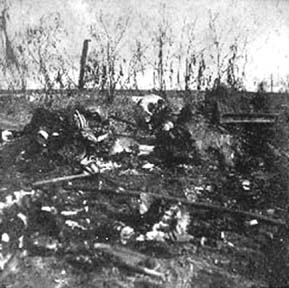 Photograph labeled Down the island. this sad sight may be seen in hundreds of places on our Island