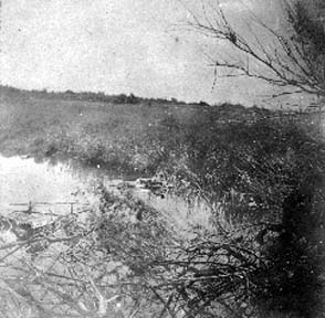 Photograph of floating body
