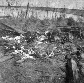 Photograph of skeleton