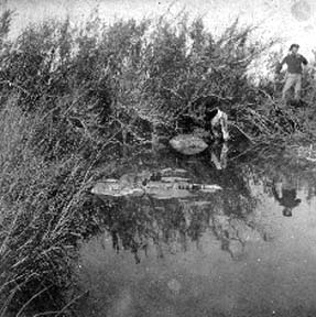 Photograph of floating body