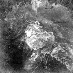 Photograph of body laying in water