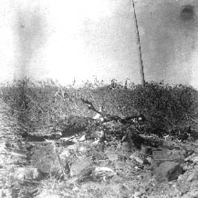 Photograph of body in grassy area