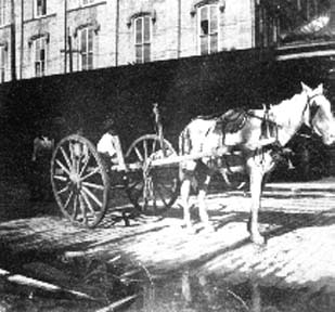 Photograph of horse hitched to cart