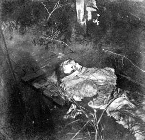 Photograph of skeletal remains laying in water