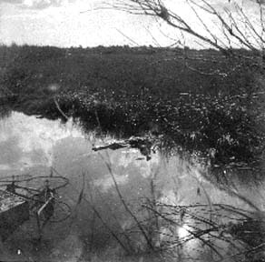Photograph of body floating in water