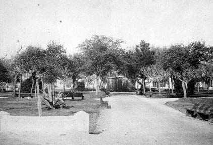 Print of City Park, Galveston, Texas