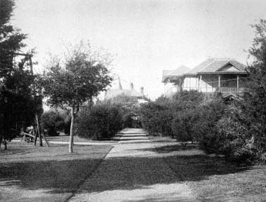 Print of Scene in Garten Verein