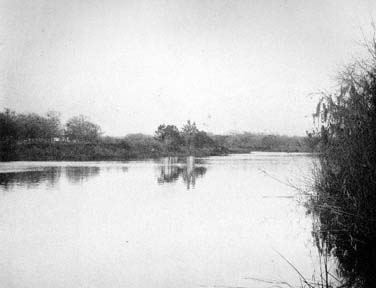Print labeled View on Dickinson Bayou