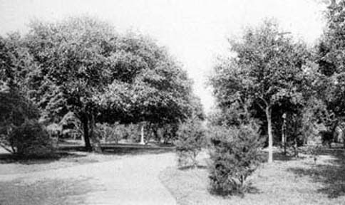 Print labeled Scenes in Garten Verein