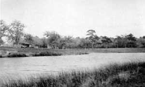 AW-57 Dickinson Bayou at the Dr. Haden homestead