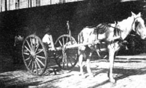 G-1771FF1.4-1 Horse hitched to cart for carrying bodies