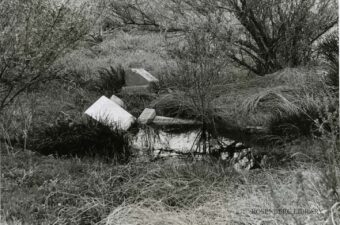 Photo of gravestones lying in a pool of water in Rosewood Cemetery, Galveston, Texas Galveston Cemeteries From Yesteryear