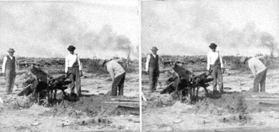 SC#31-23 Special Collection #31, 1900 Storm Collection, 23