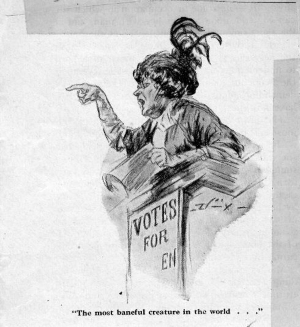  How Gender and Sexuality Influenced the Suffrage Movement