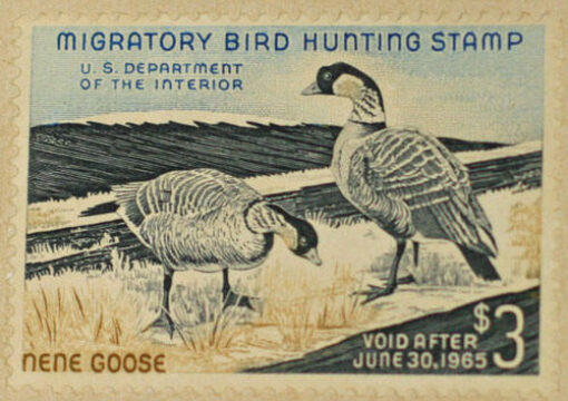  Duck Stamps